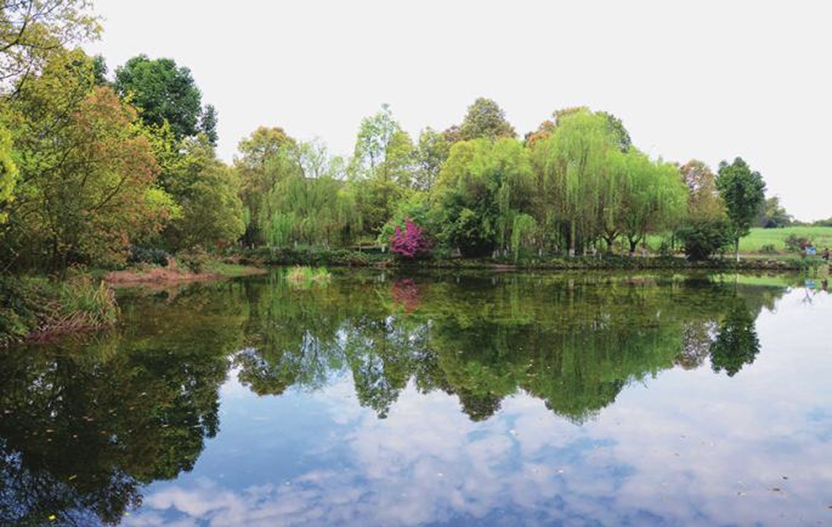 中國水環(huán)境這座再生水廠的地上與地下都有什么?- 中國水環(huán)境這座再生水廠的地上與地下都有什么?-